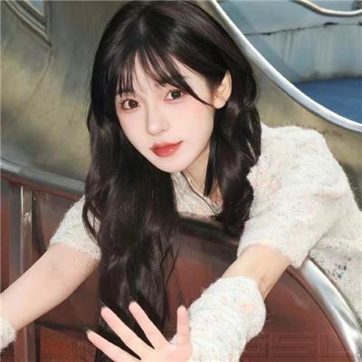 疯狂的导演